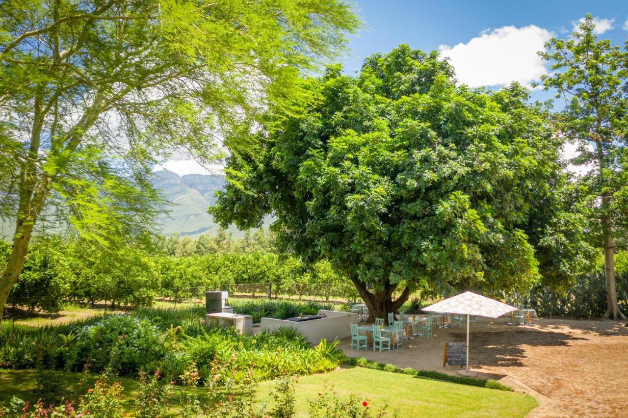 Francines Venue Pty Ltd Bed & Breakfast โฮดสปรูท ภายนอก รูปภาพ
